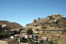 India-Rajasthan-Castle to Castle Safari in Rajasthan